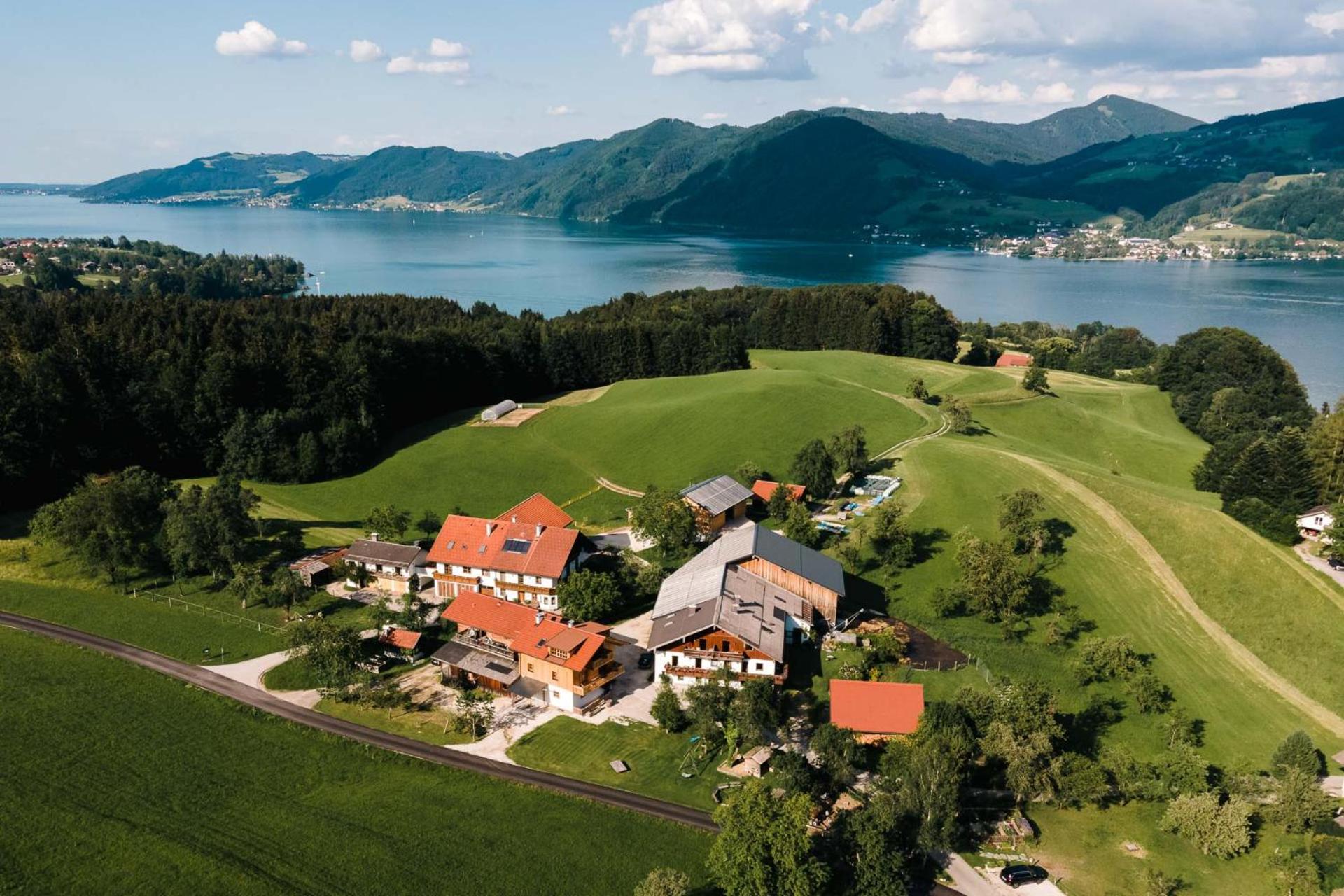 Ferienwohnung Grubinger Unterach am Attersee Bagian luar foto