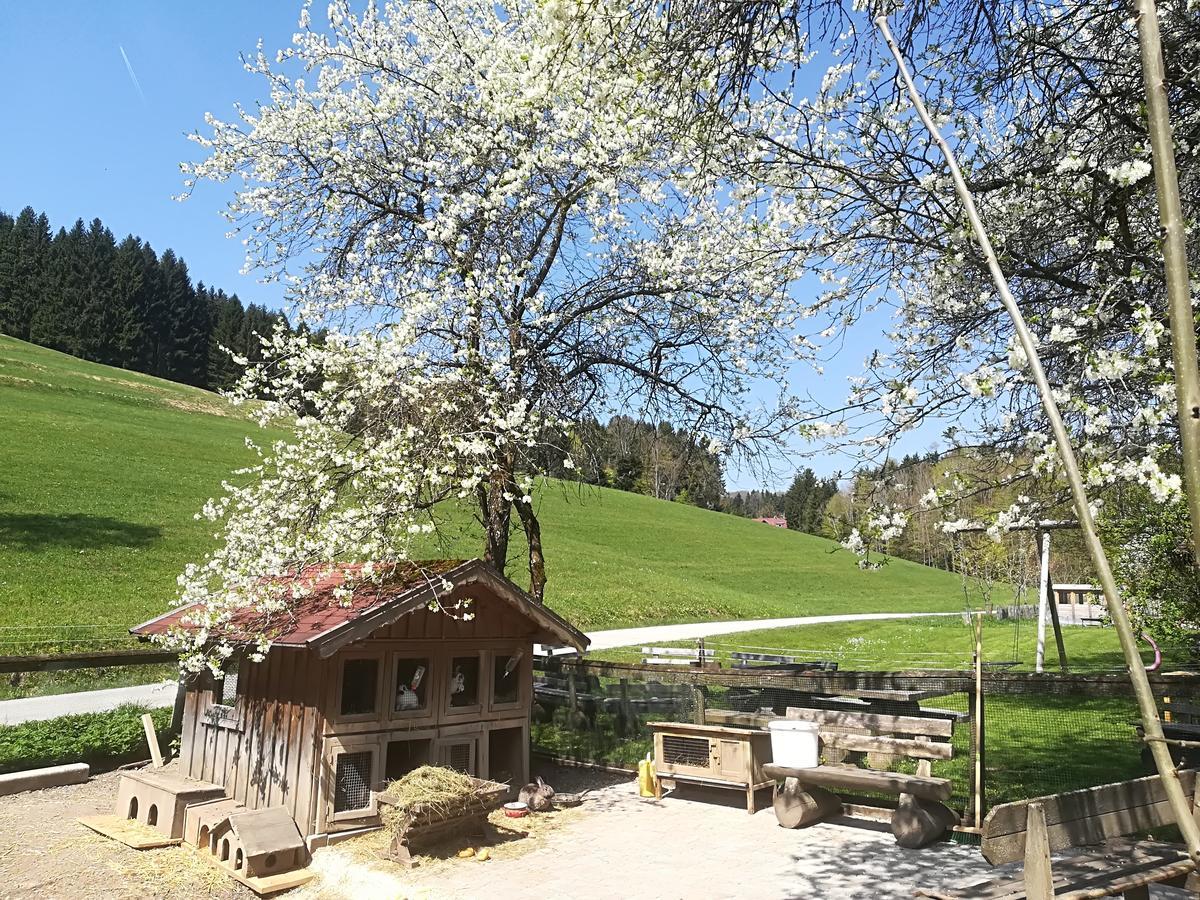 Ferienwohnung Grubinger Unterach am Attersee Bagian luar foto